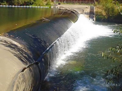 Waterfall is incited by flip bucket and there are many trees far away.
