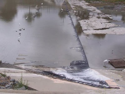 Some birds are above the complete collapsed air inflatable rubber dam.