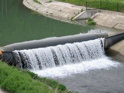 Bookend rubber dam has overflow and there are many green grass on the shore.
